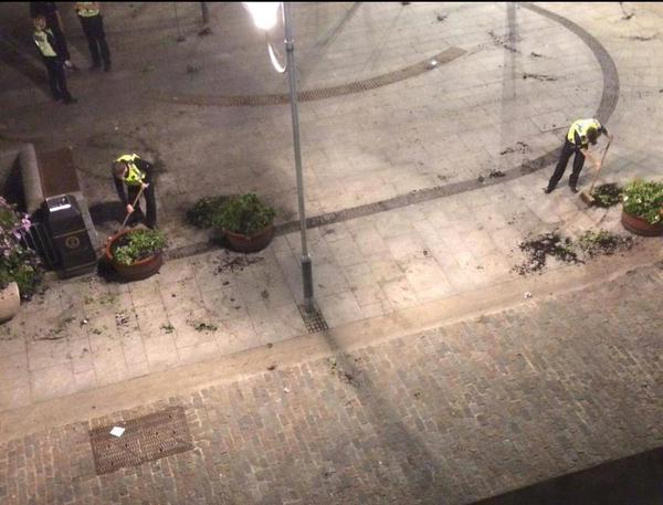 Police sweep up the plants in Drummers Corner