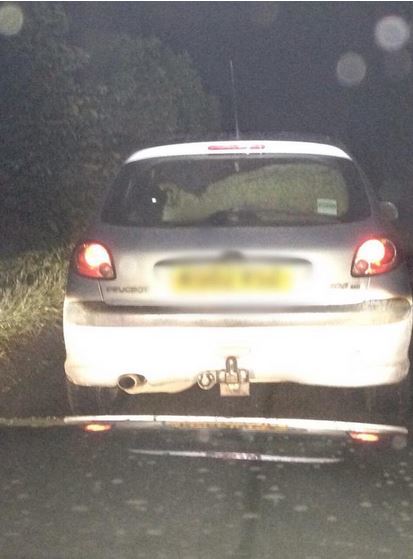 Police discovered a sheep in the back of the Peugeot 206