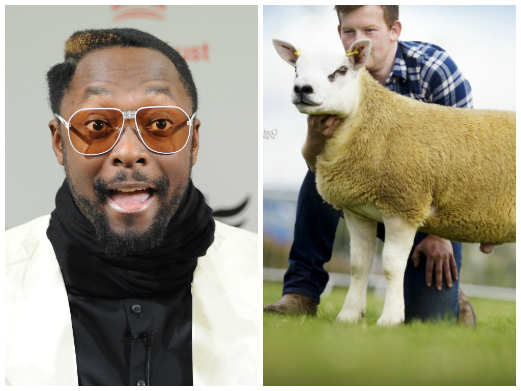 The sheep named after the American star has fetched over £70,000