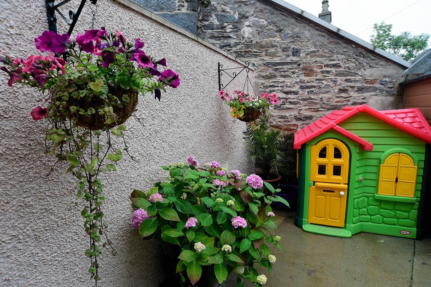YOUR HOME - ROWAN COTTAGE, FORDYCE. (DUNCAN BROWN)  COLOURFUL FLORAL DISPLAYS