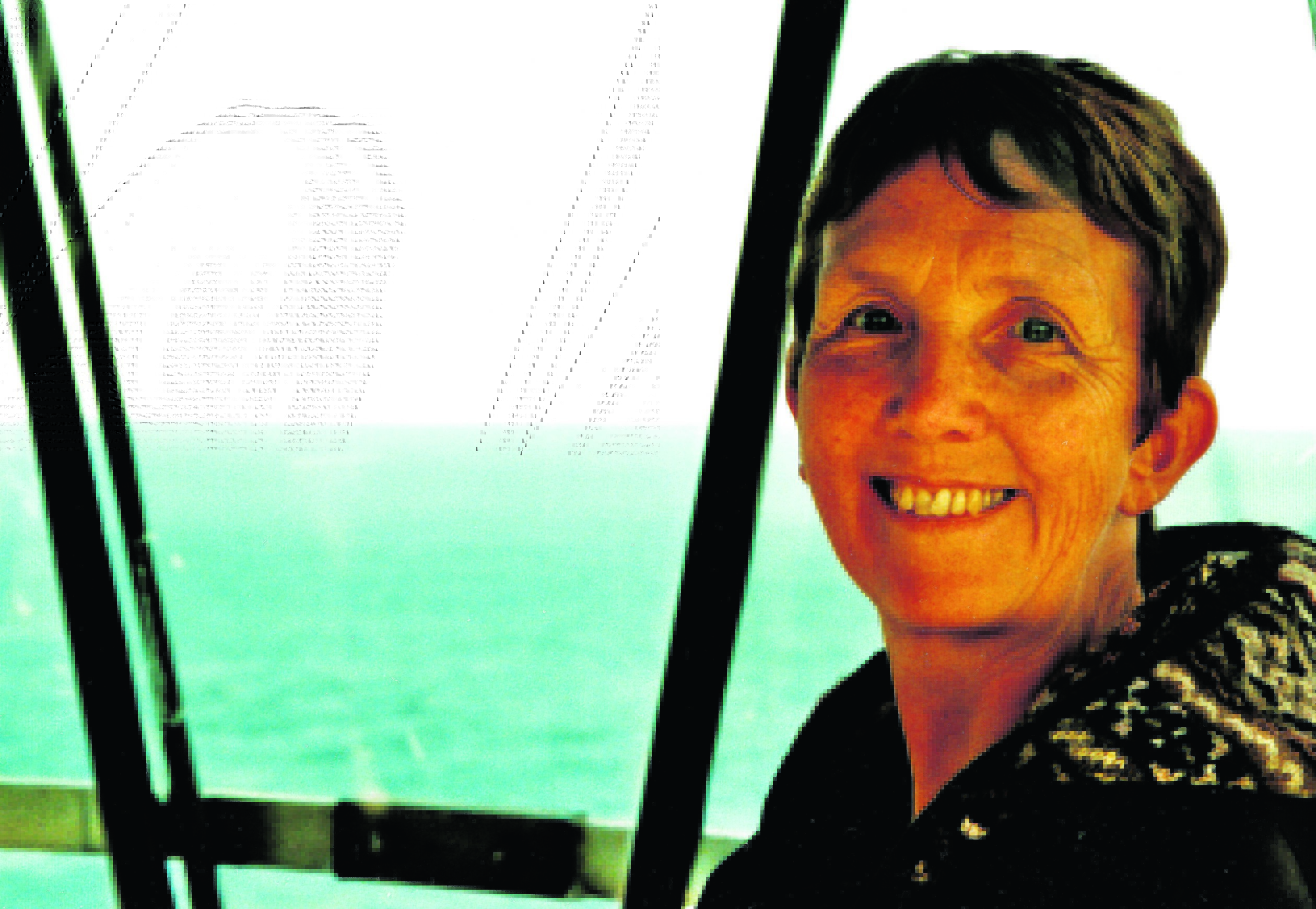 Ann Cleeves has written more than 35 books and created three hit TV series.