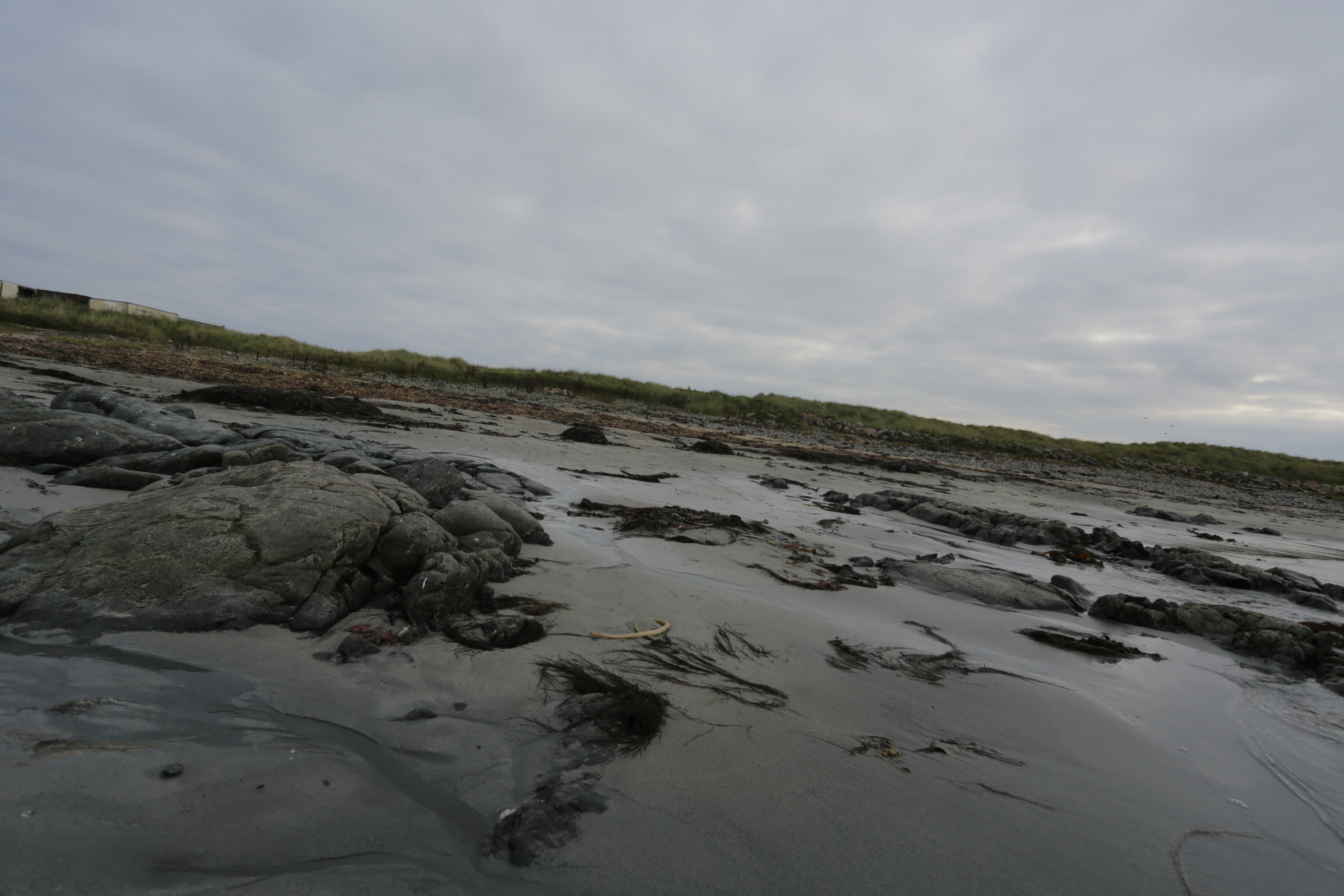 Cairnbulg beach after the clean