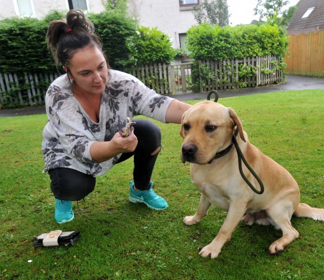 Amber Turner with Bolt the Labrador
