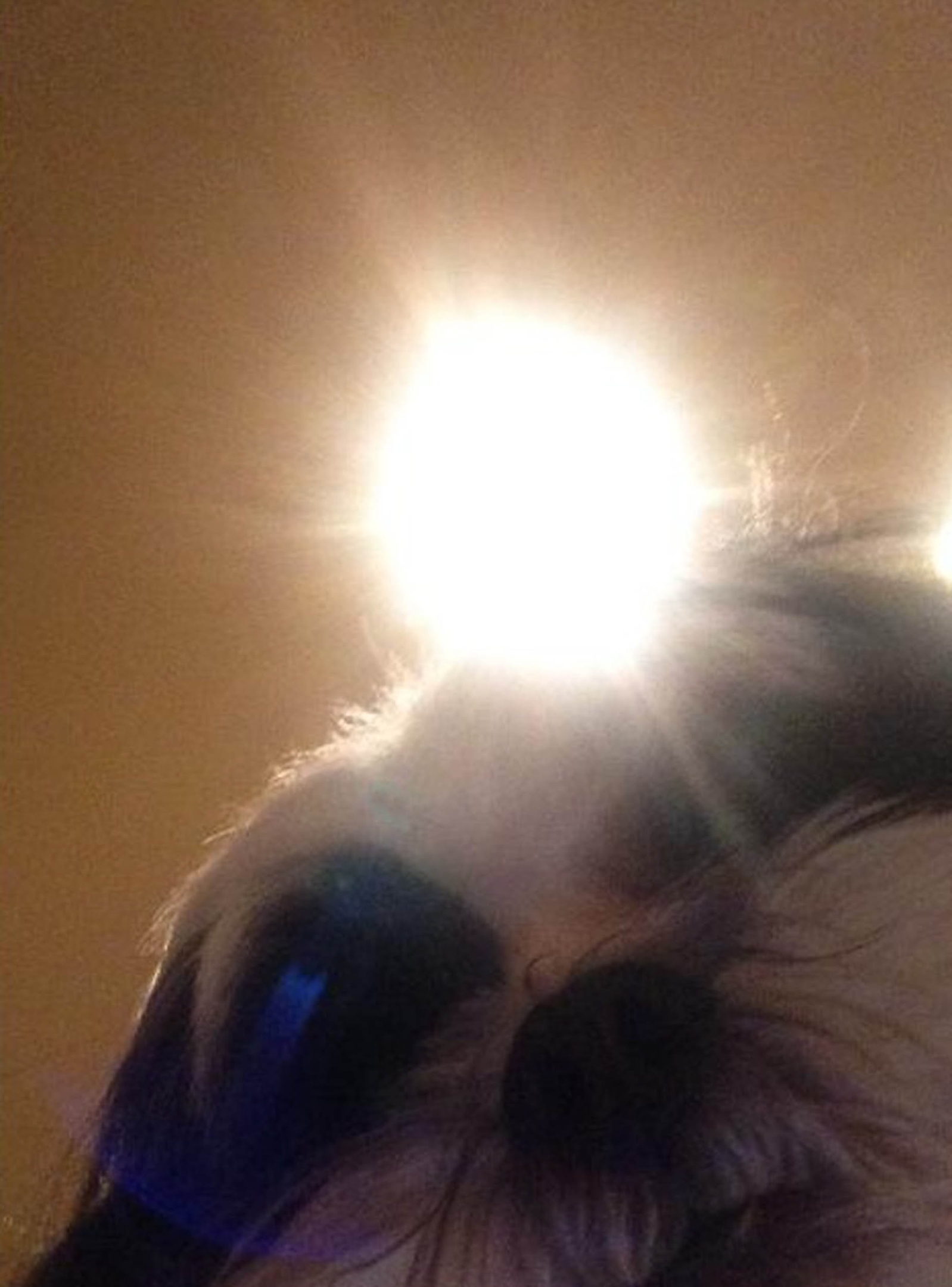 "The other day my dog stood on my phone and took a few selfies" PETS across the globe are getting in on the selfie phenomenon. Curious cats, dopey dogs and even ham-fisted hamsters are snapping themselves on their owners mobiles - with hilarious results. The pictures, which include a close-up of a one-eyed cat, all were produced when clumsy pets stood on their owners phones or iPads. The results are varied - some pictures show cats looking down into the camera with their chin appearing extremely enlarged, and in others a dogs nose takes up most of the photo.