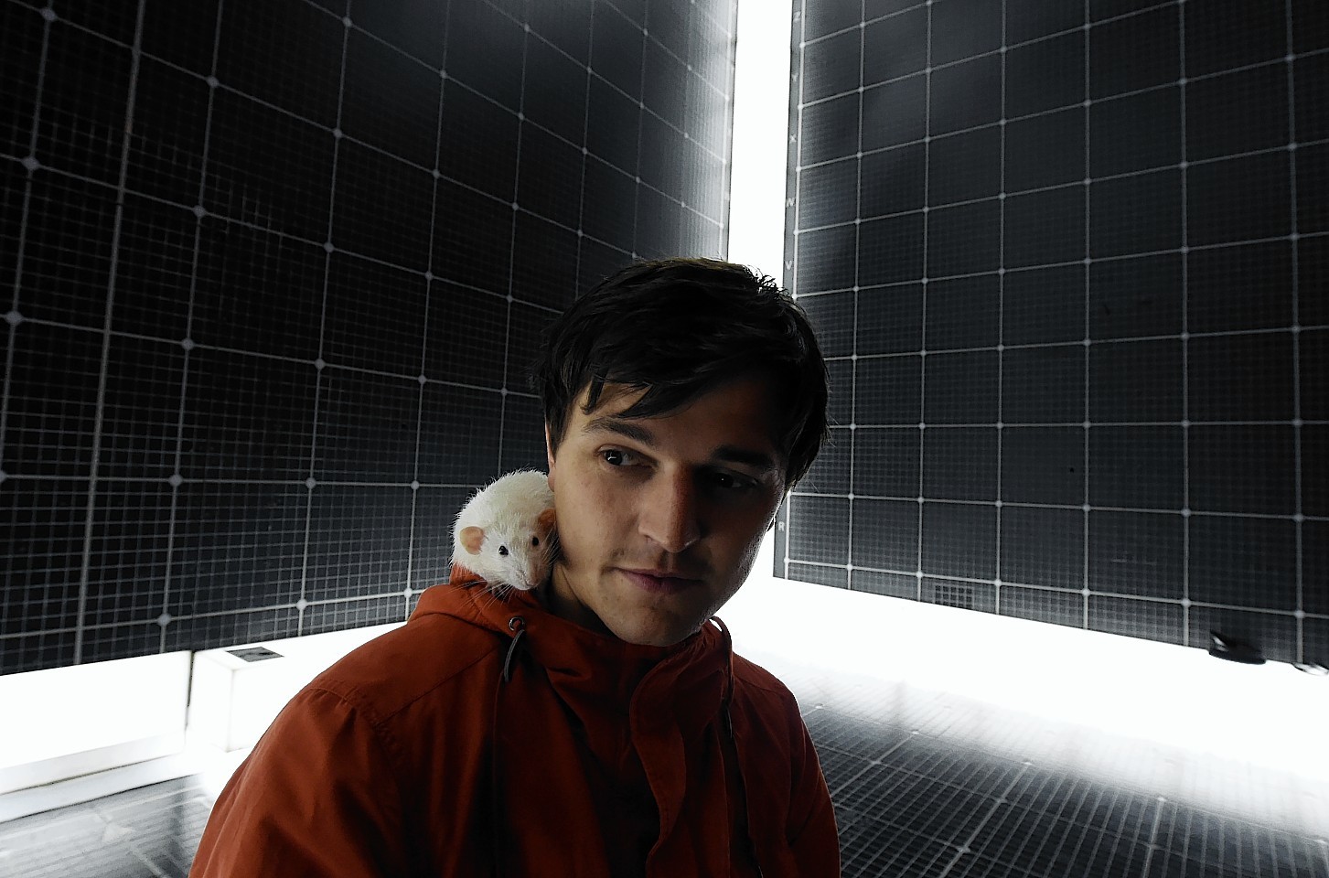 The production of The Curious incident of the Dog in the Night Time at HMT, Aberdeen. In the picture are Joshua Jenkins with Toby the rat. Picture by Jim Irvine