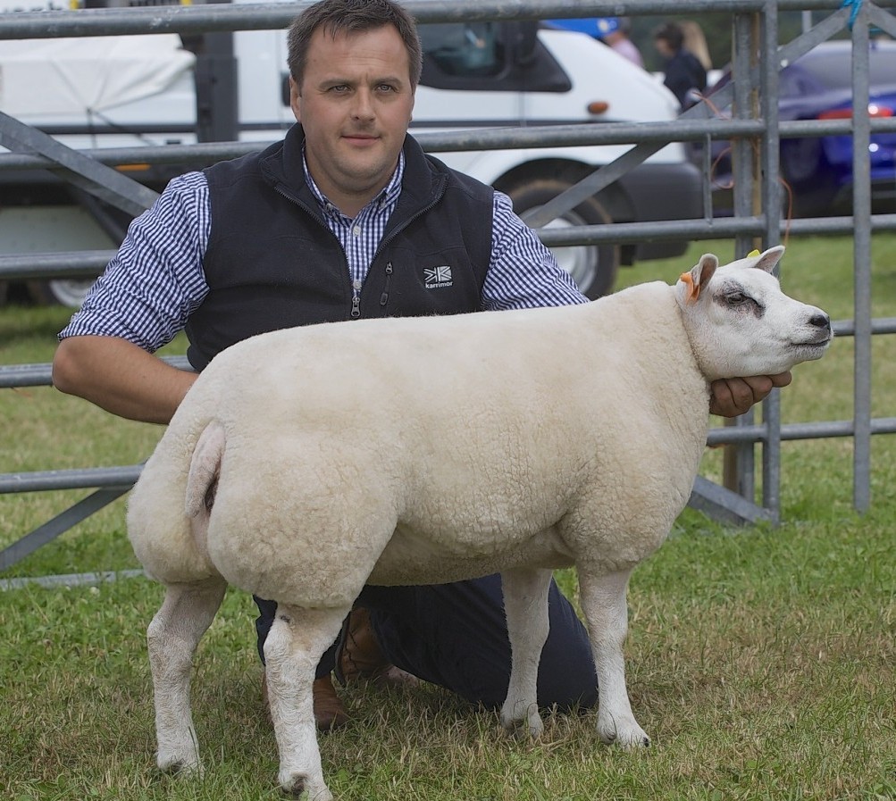 Stuart Wood secured the Beltex championship at this year's Echt Show