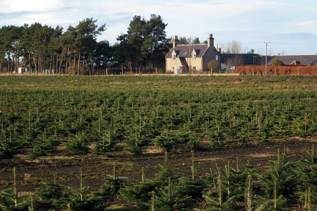 Maviston Farm near Nairn is up for sale