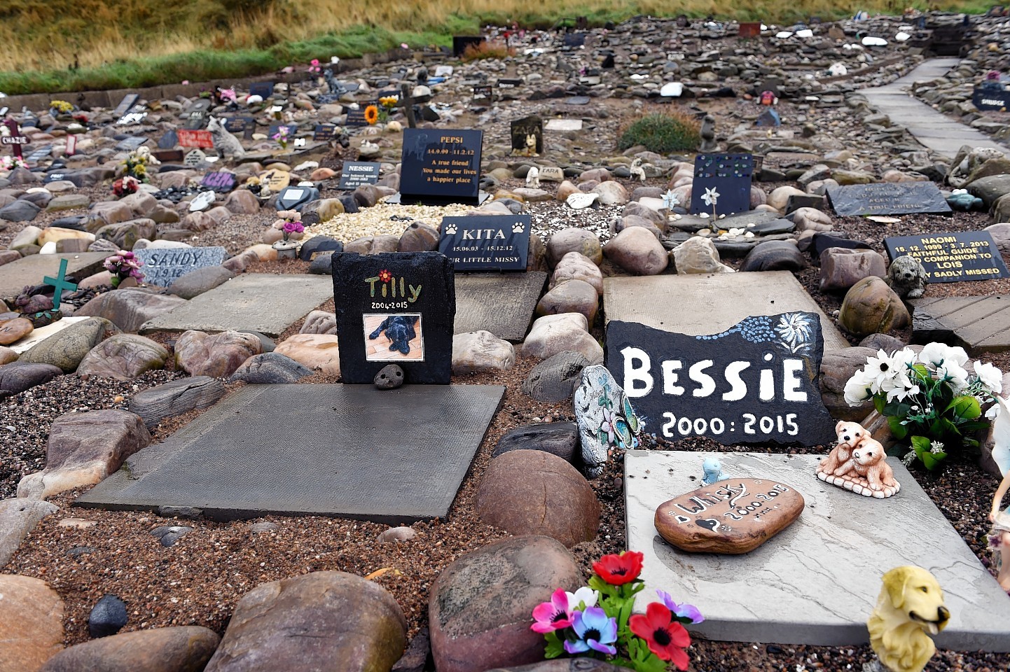 Cullen Pet Cemetery, on land belonging to the Seafield Estates, above the Cullen shoreline, looked after by 77 year old Stehen Findlay