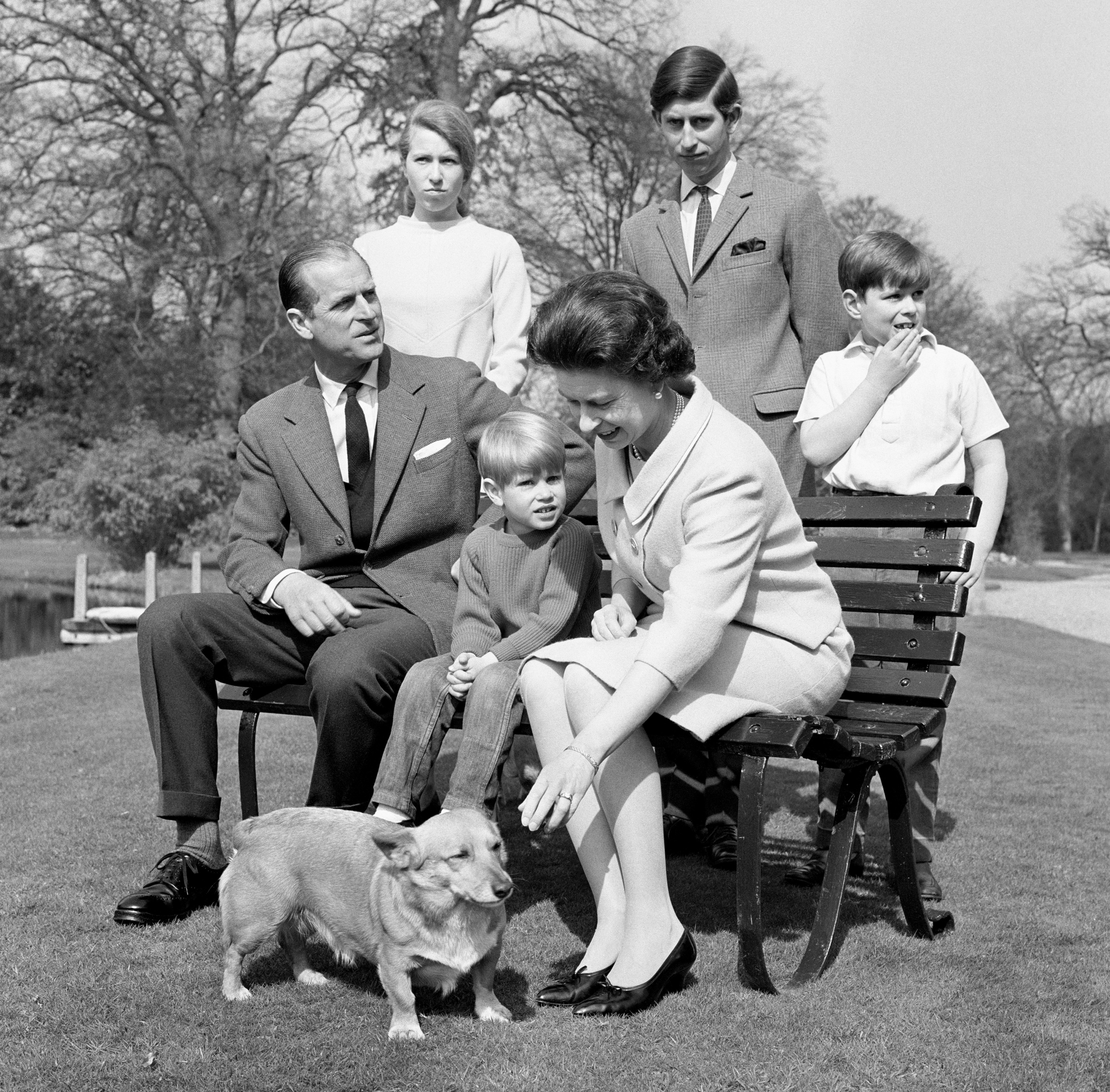 This time it is four-year-old Prince Edward and the pet Corgi who seem to be attracting the attention of Queen Elizabeth II, 42. The Royal Family were posing in the gardens at Frogmore, Windsor, for special birthday photographs. 