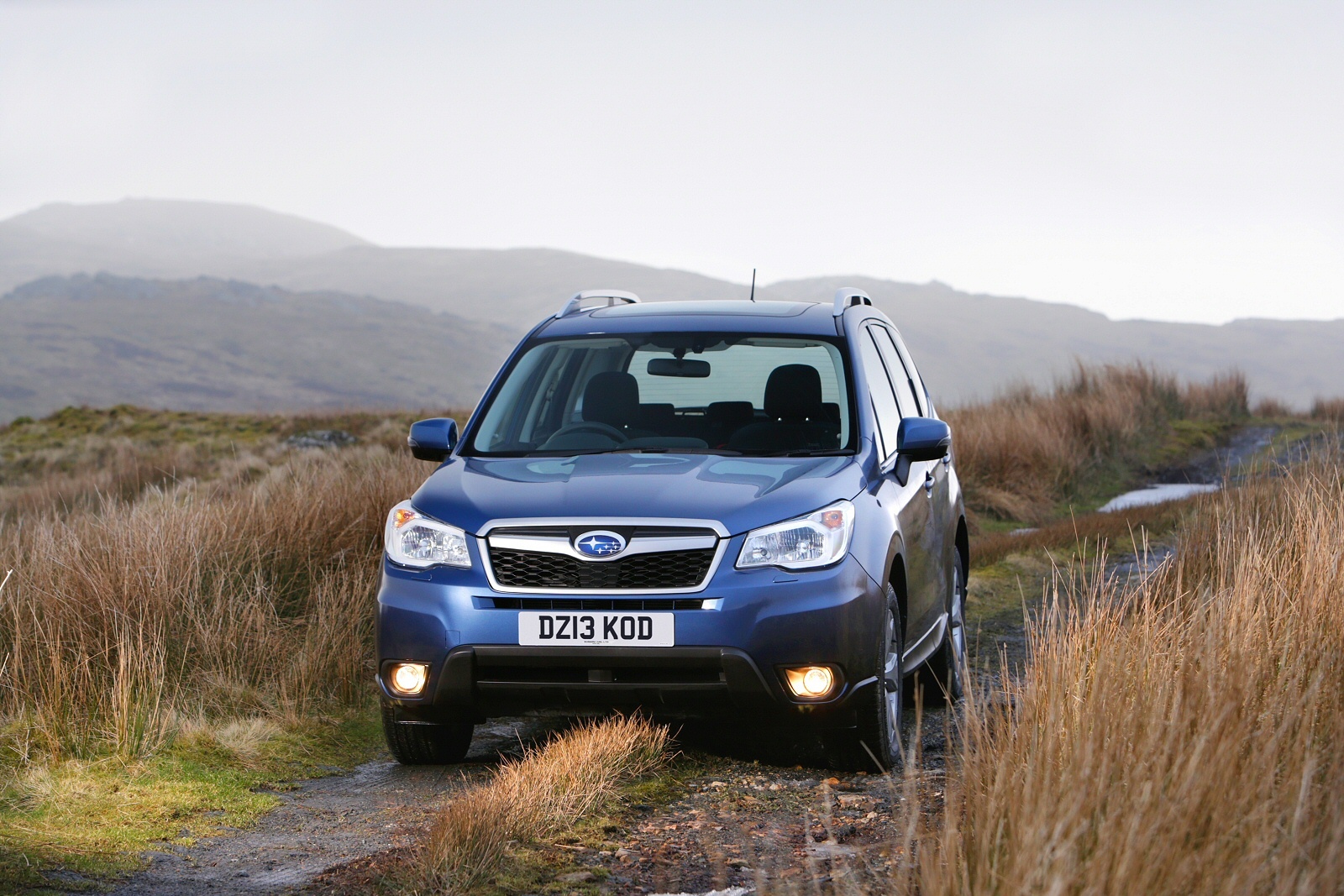 SubaruForester0413(8)