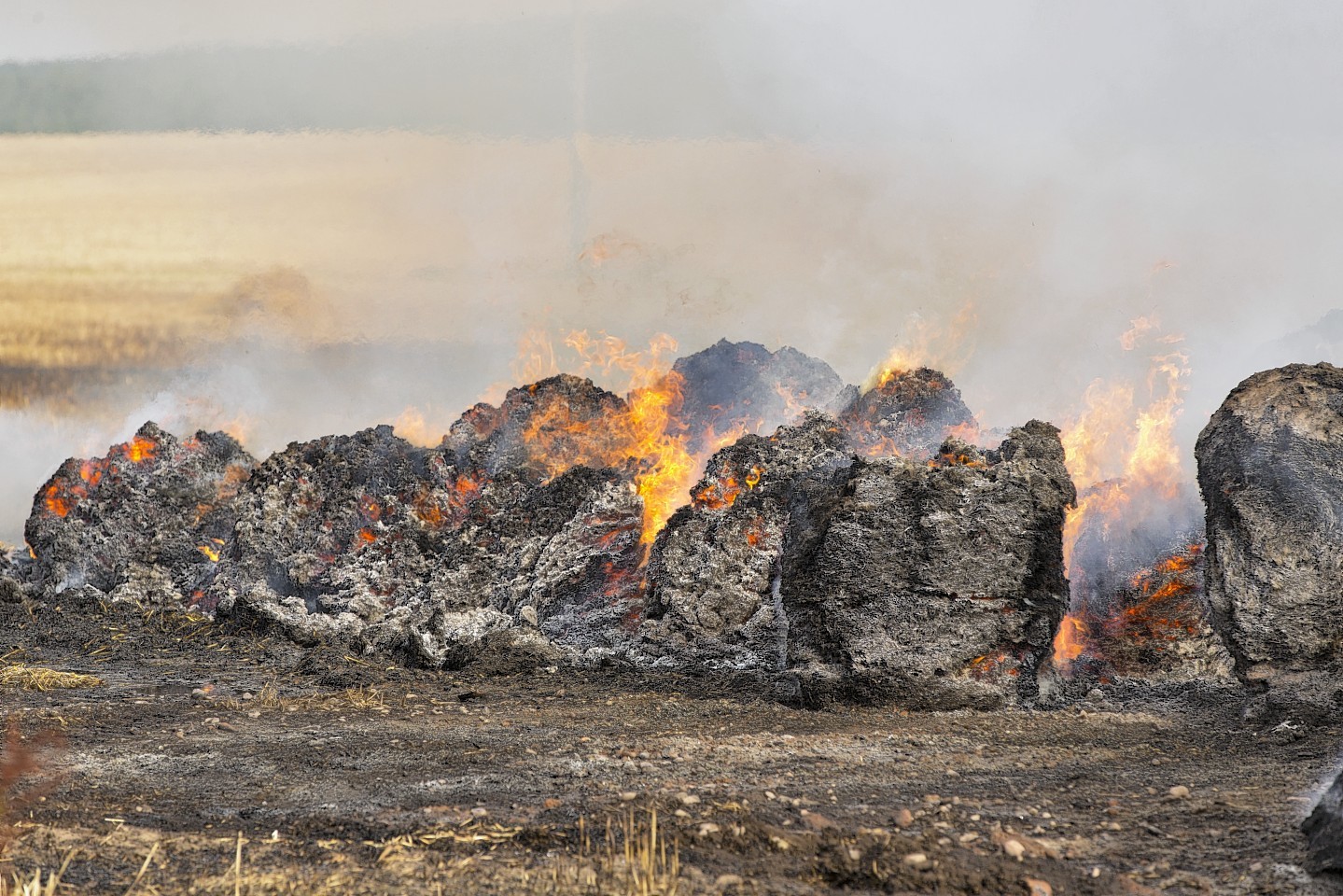 Farm fires cost Scots producers nearly £5m last year