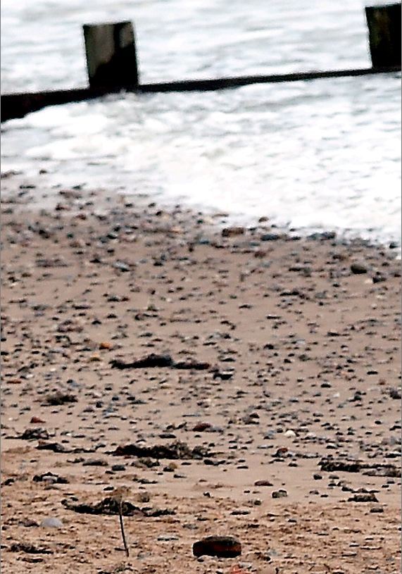 Police at the scene of the bomb washed-up on Aberdeen beach