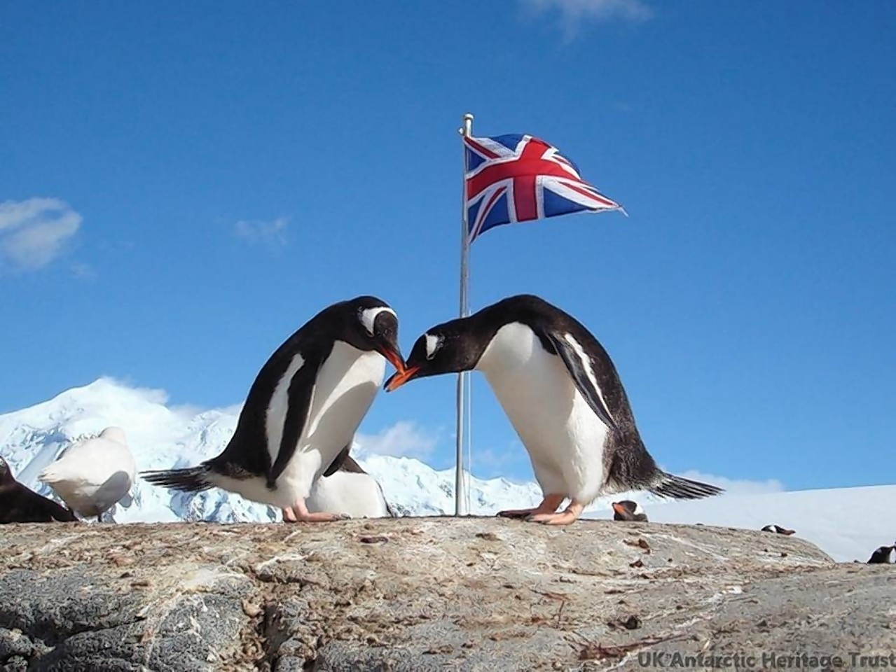 She will be responsible for the world's most southerly post office in Antarctica