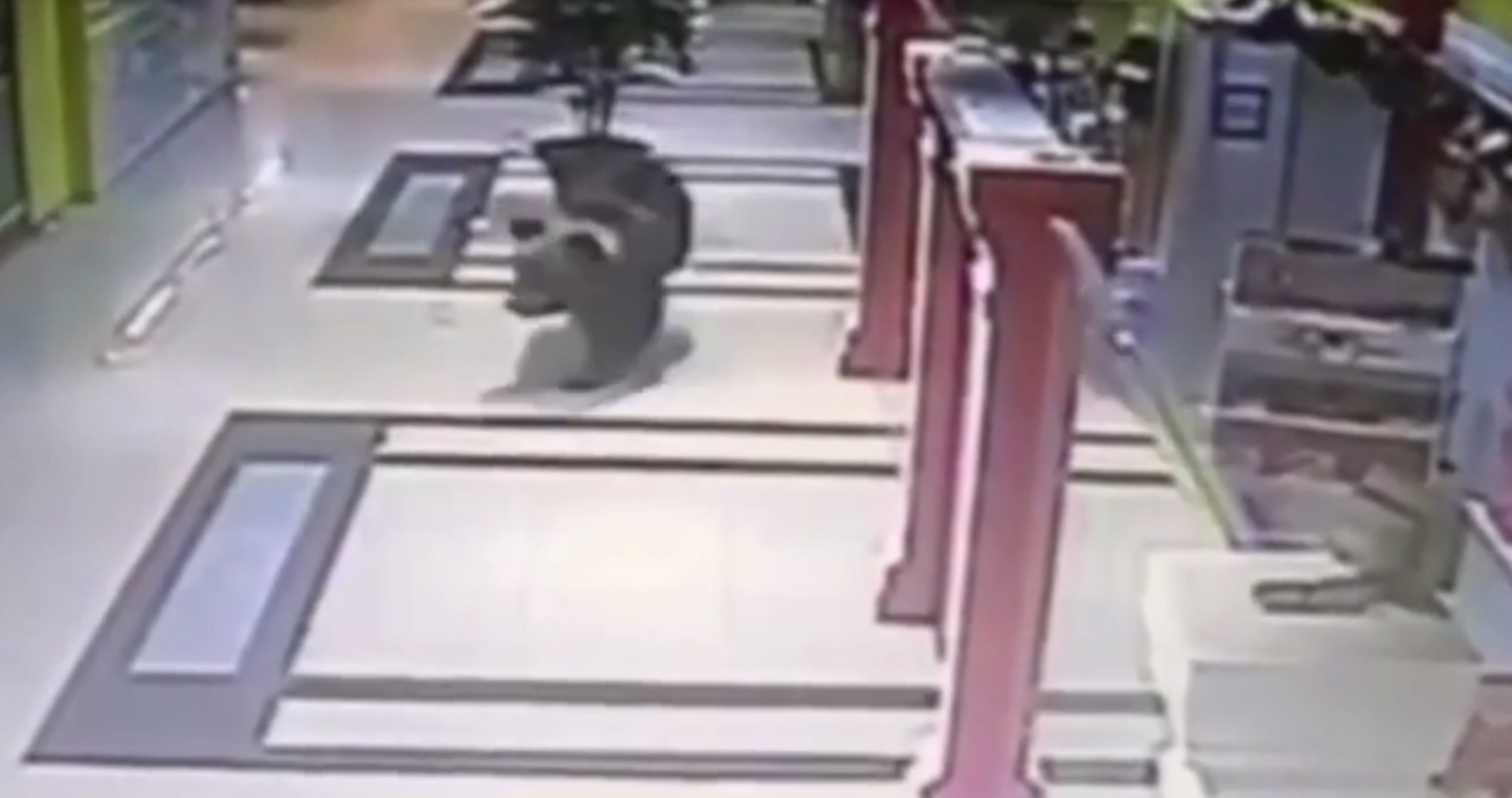 The bear loose in the mall