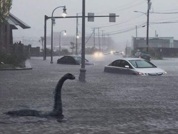 Nessie appears to be on holiday in Portland