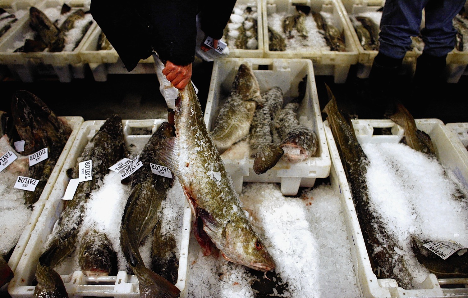 An estimated 28,000 people eat fish and chips every week as part of JD Wetherspoons' Fish Friday promotion alone.