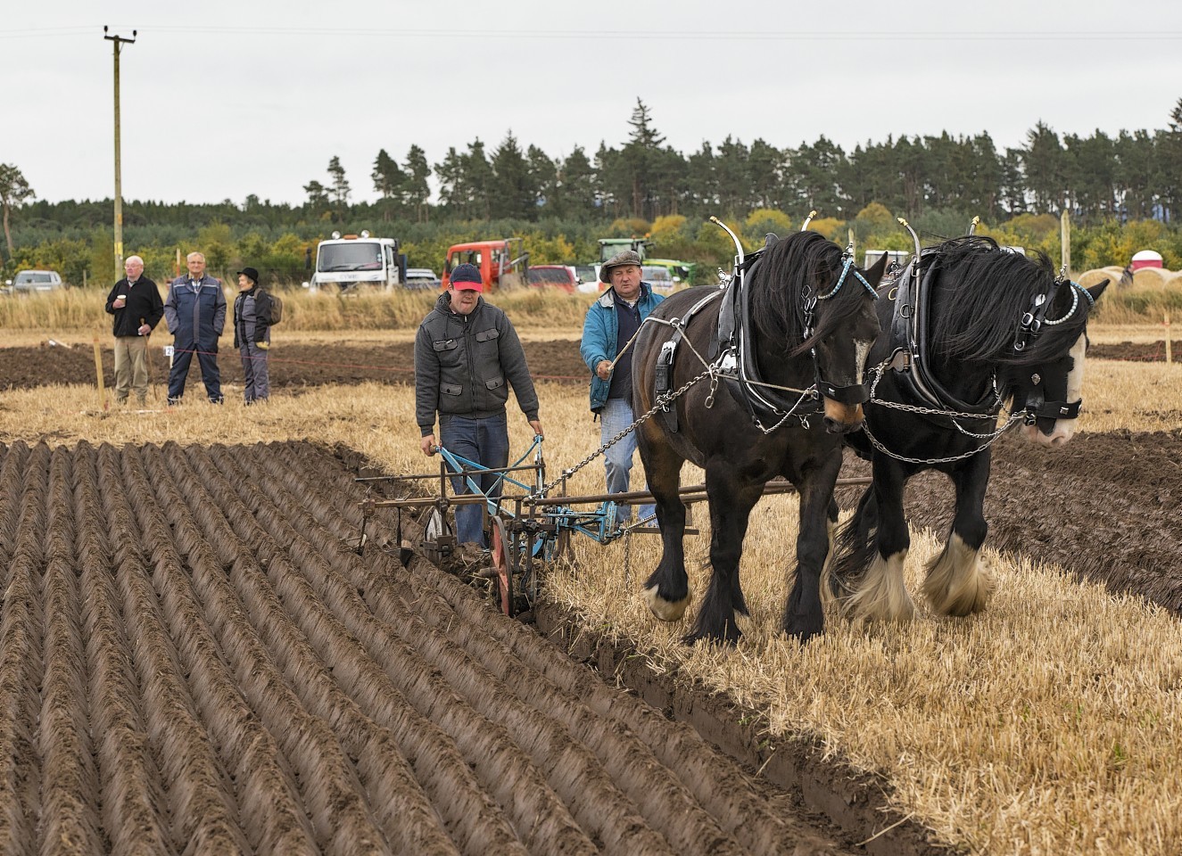 Scottish Ploughing Championships