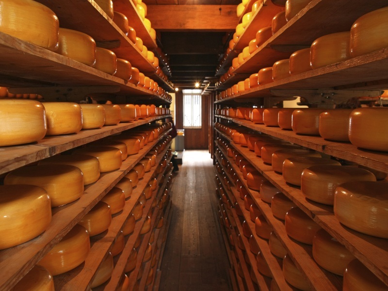 SB- Cheese tasting, Amsterdam