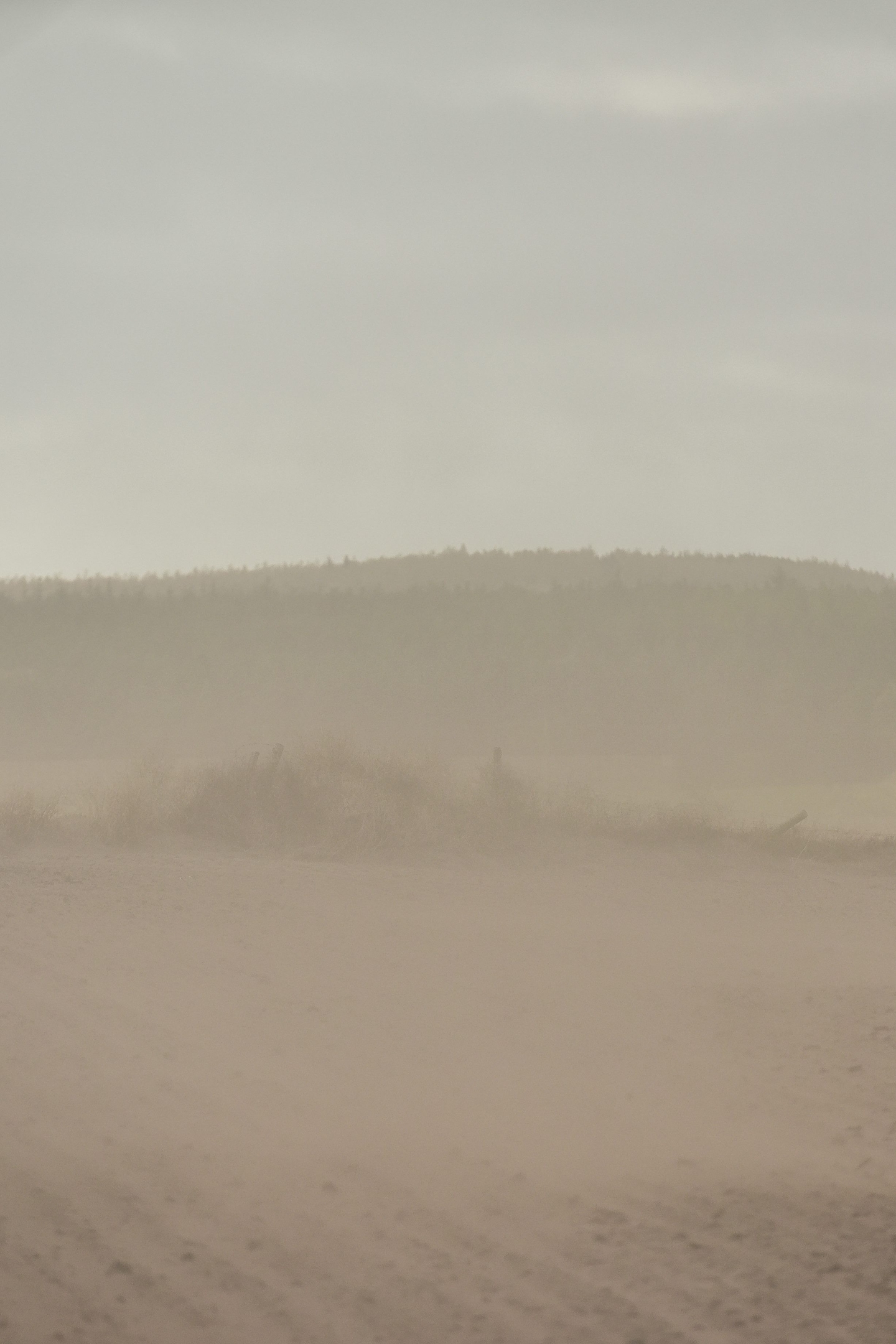 A sandstorm is seen blowing across a field near Elgin, Moray on October 