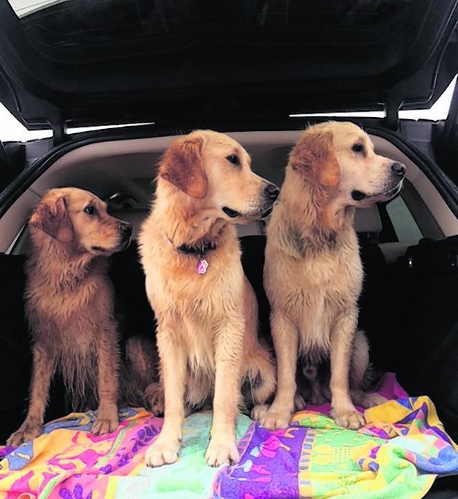 Mum Rosie with daughter Maddie and son Alphie after a swim at Balmedie beach. Rosie lives with Angela Patience in Ellon, Alphie lives with Jaclyn Skinner at Whitecairns and Maddie lives with Michele Skinner at Lairshill, Newmachar.