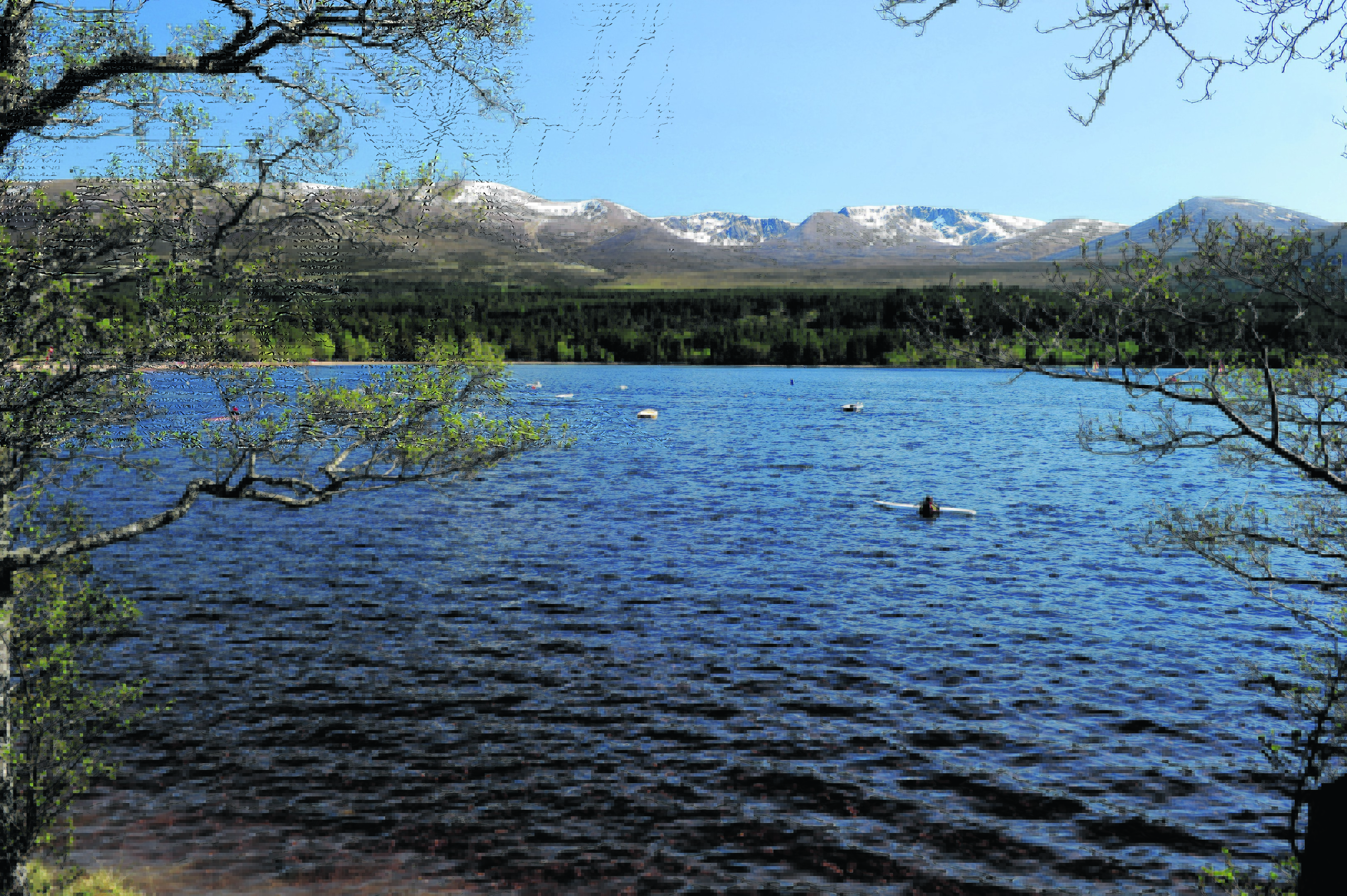 The Cairngorms and Loch Morlich