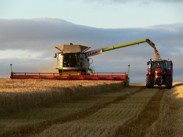 Gordon Beattie sent in this picture of spring barley being cut at Cowhythe Farm, Portsoy. 