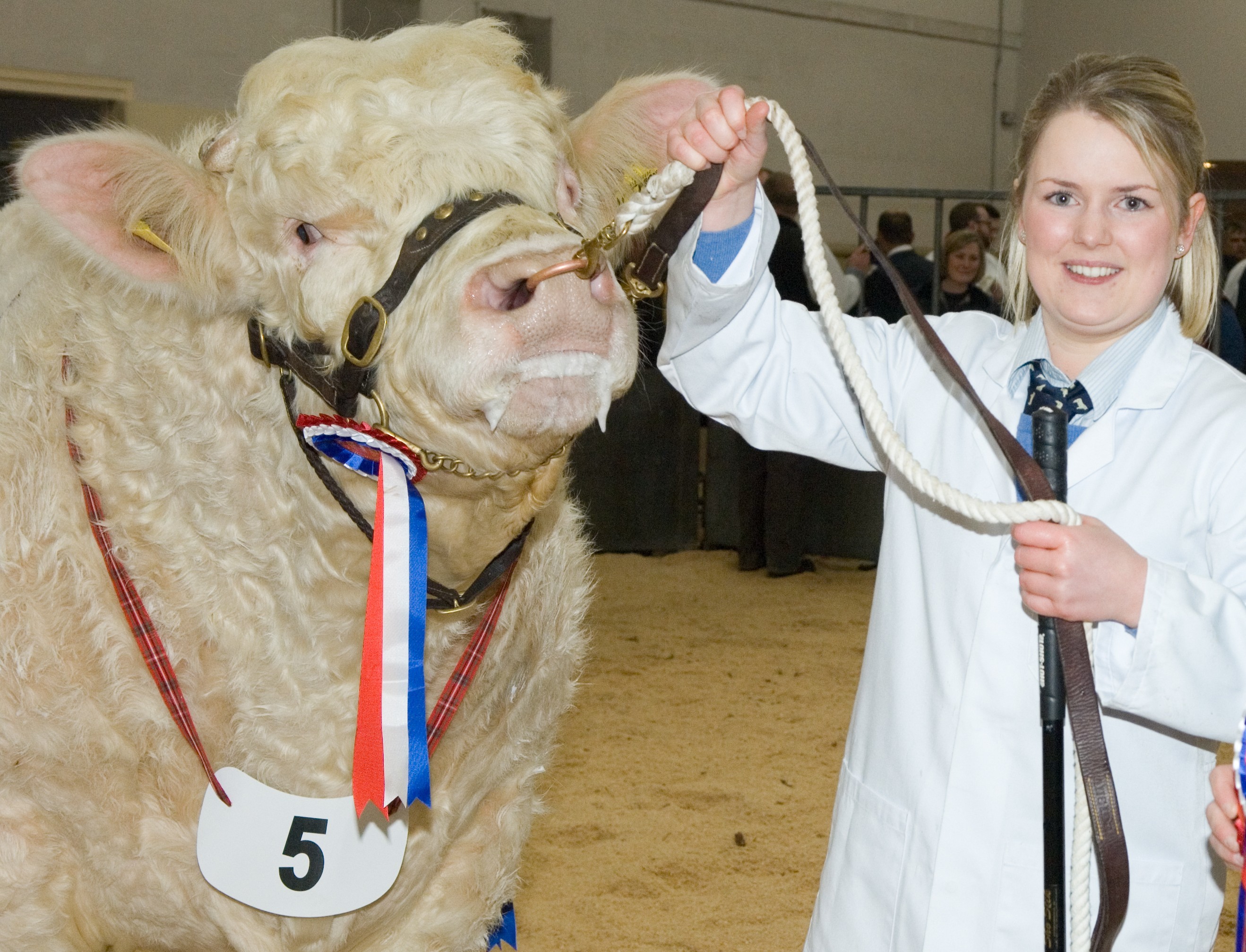 Anna Robertson with the overall pedigree beef champion in 2014