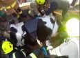 Fire crews rescue the cow