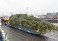 The Aberdeen Christmas tree, a gift from Stavanger, arrives in city