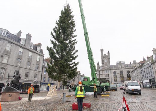 23/11/15 arrival castlegate christmas tree