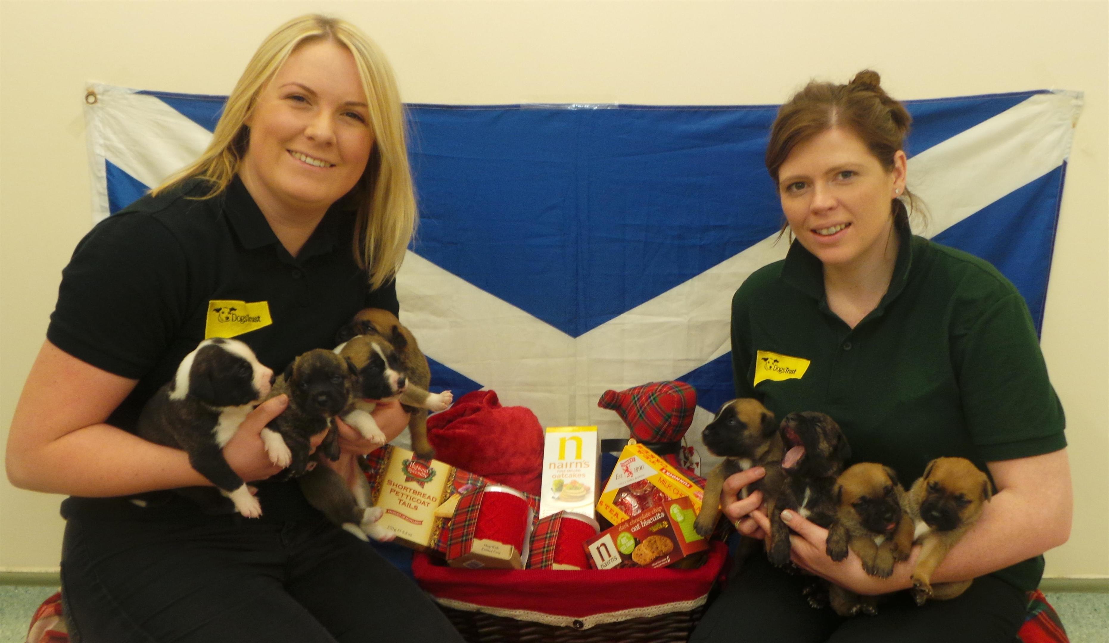 From L-R Puppies Thistle, Haggis, Irn Bru, Tartan, Heather, Whisky Oatcake and Shortbread with Emma-Louise Livingstone and Karen Campbell from Dogs Trust Glasgow
