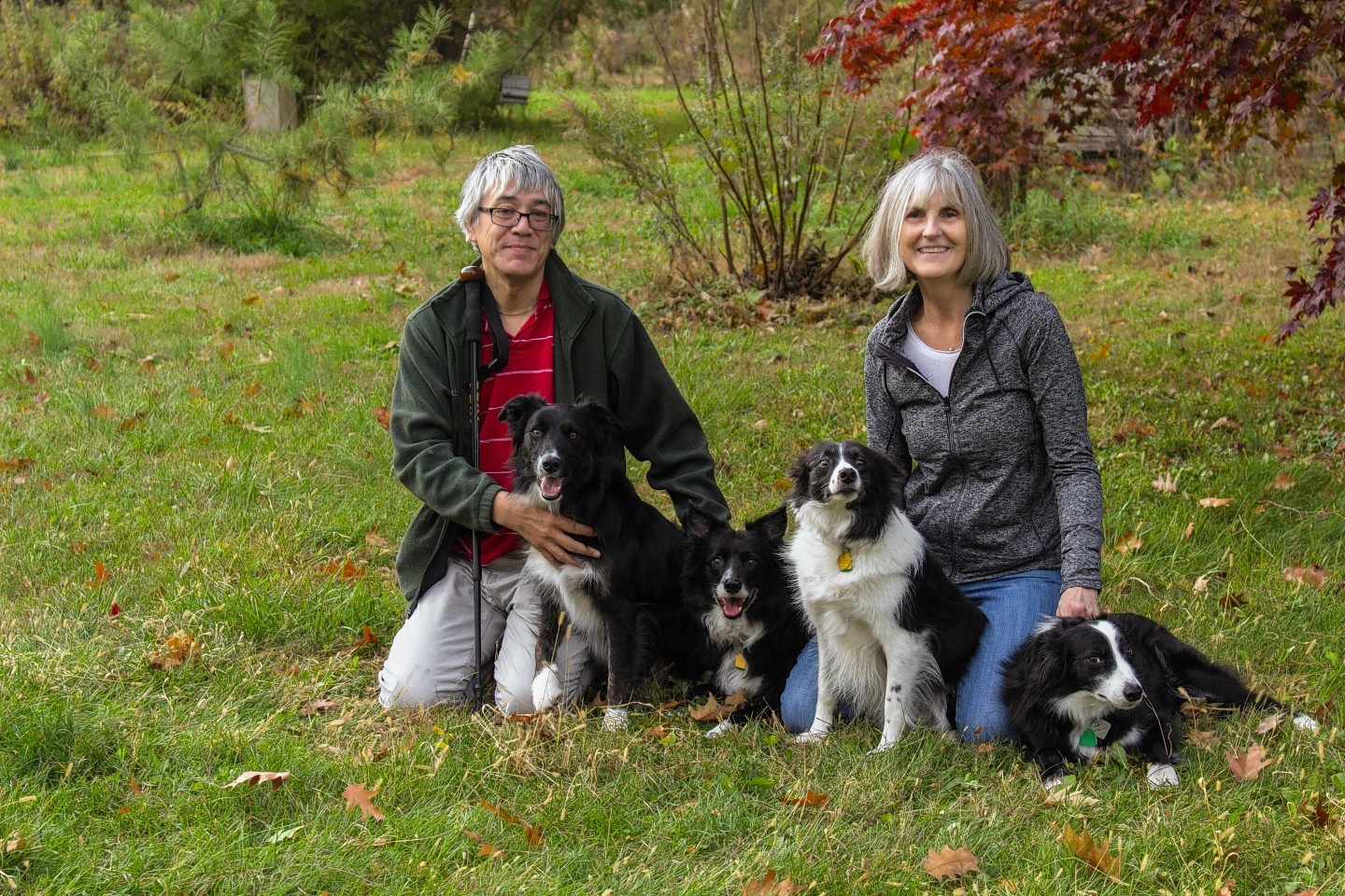 Joe Gresham with wife Tracy and their their four border collies