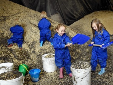 The children help out on the farm.