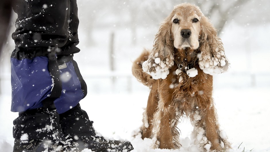 Will it be a White Christmas?