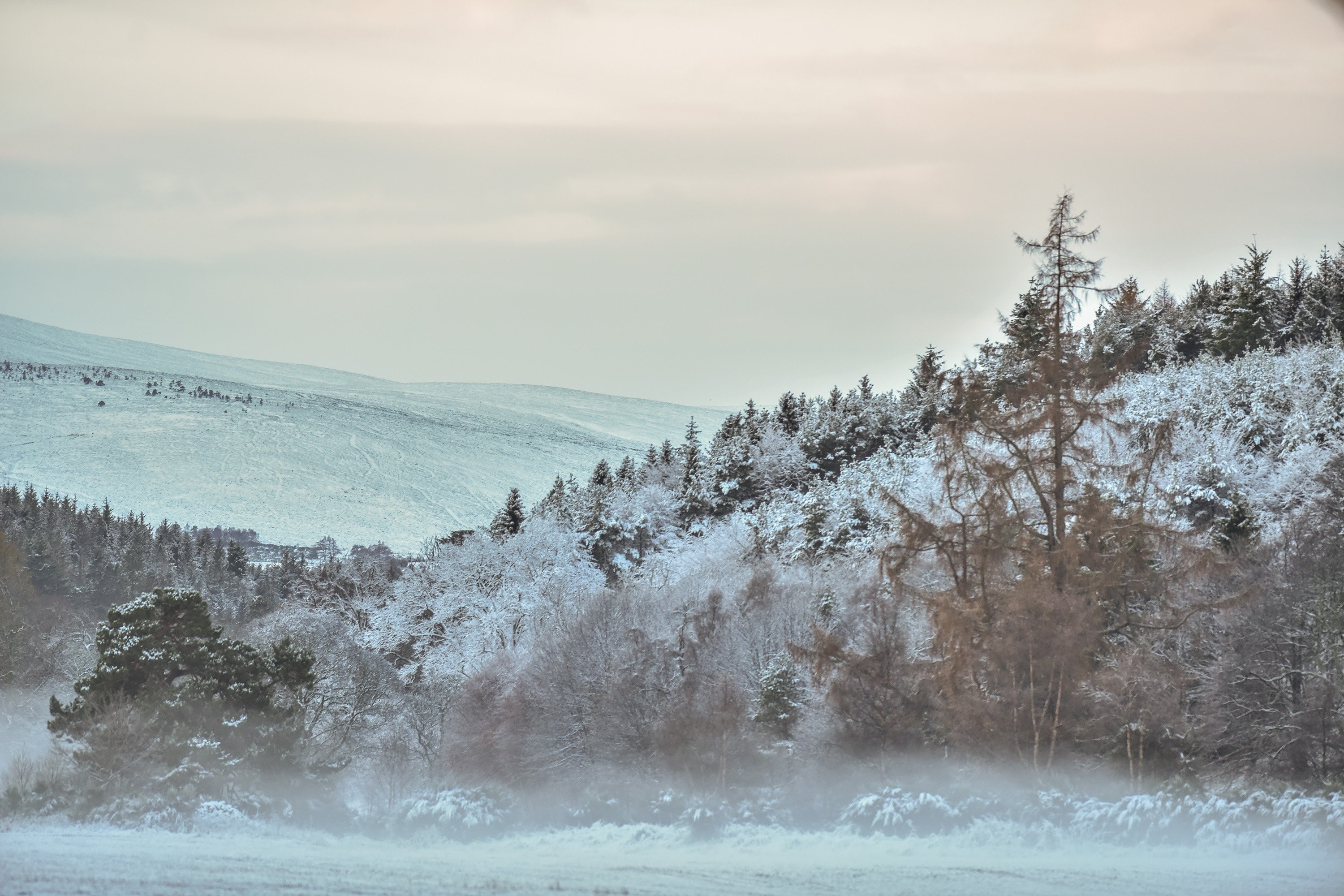 Morning mist rises from fields snow blanketed fields in Craigellachie, Moray on November 30 2015. Storm Clodagh has brought high winds and snow showers which covered the north of Scotland.