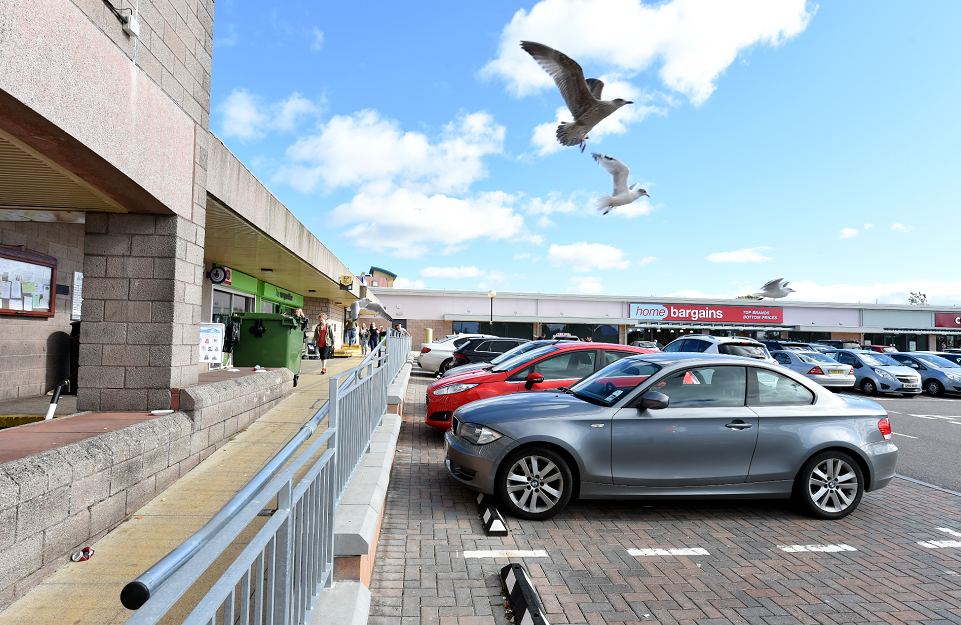 Plans have been put forward to deter problem gulls with drones