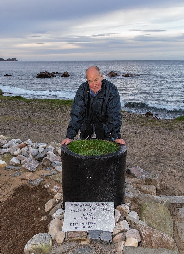 The shark was buried at Cullen pet cemetery