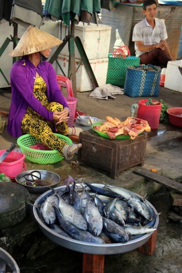 Riverside Market, Vietnam