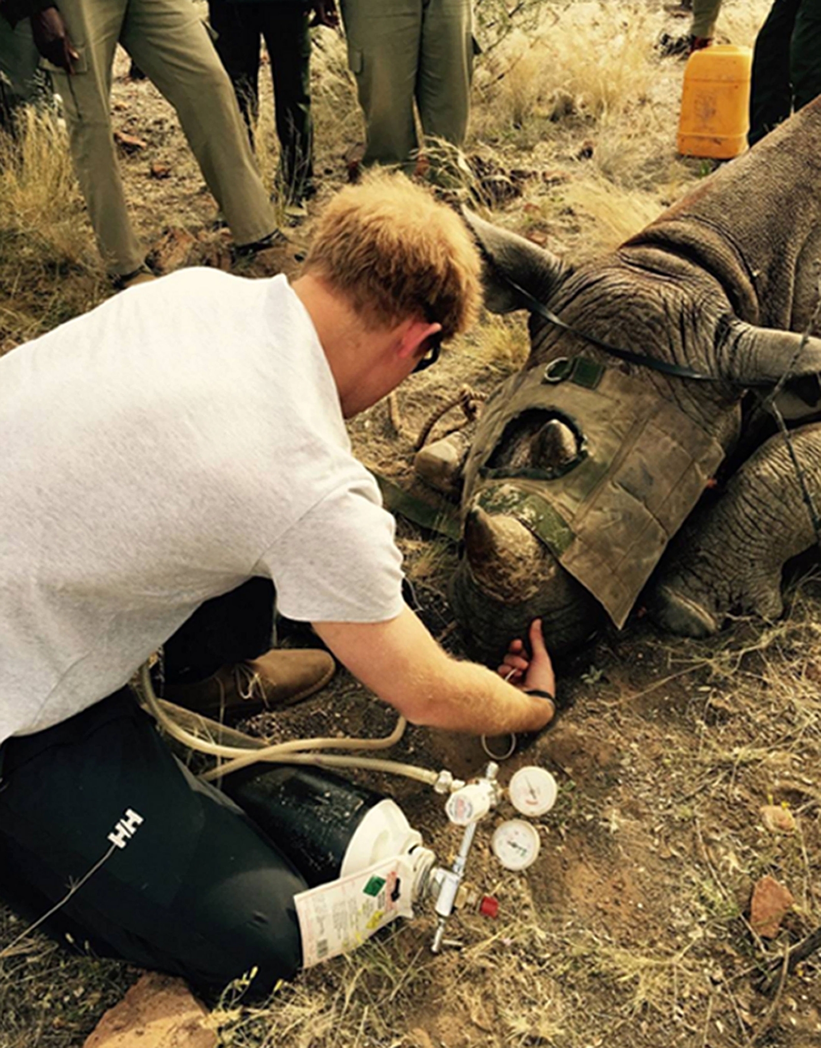 Undated handout photo taken with permission from the Kensington Palace Instagram account of Prince Harry during his visit to southern Africa where he is helping in an operation to de-horn a rhino to deter poachers. 