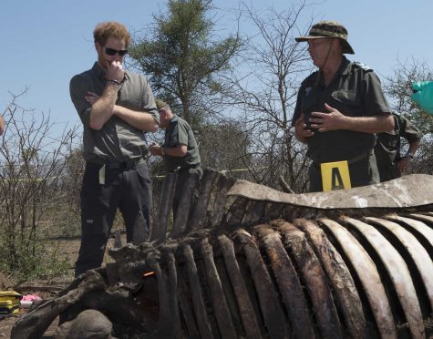 Prince Harry visiting a crime scene with a forensic team of a rhino killed by poachers in Kruger National Parkas part of his tour to South Africa.