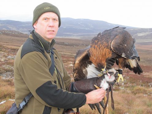 Les Gibson with his golden eagle Odin