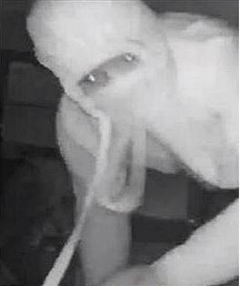 Police image of the second thief 