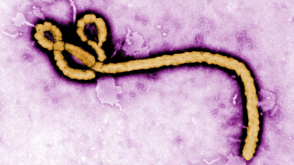 The worst Ebola outbreak in history started in December 2013