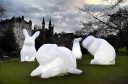 Aberdeen Inspired has been working with Australian artist Amanda Parer to launch Intrude, a world acclaimed light installation within Union Terrace Gardens.
