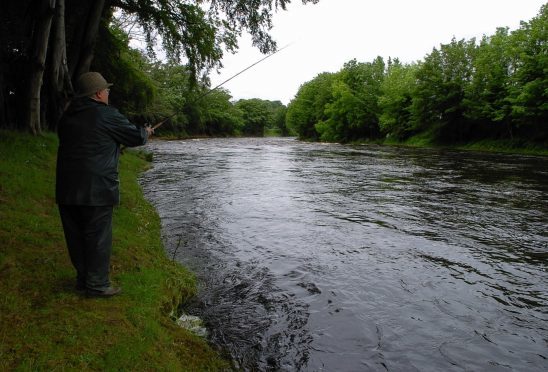 The River Don