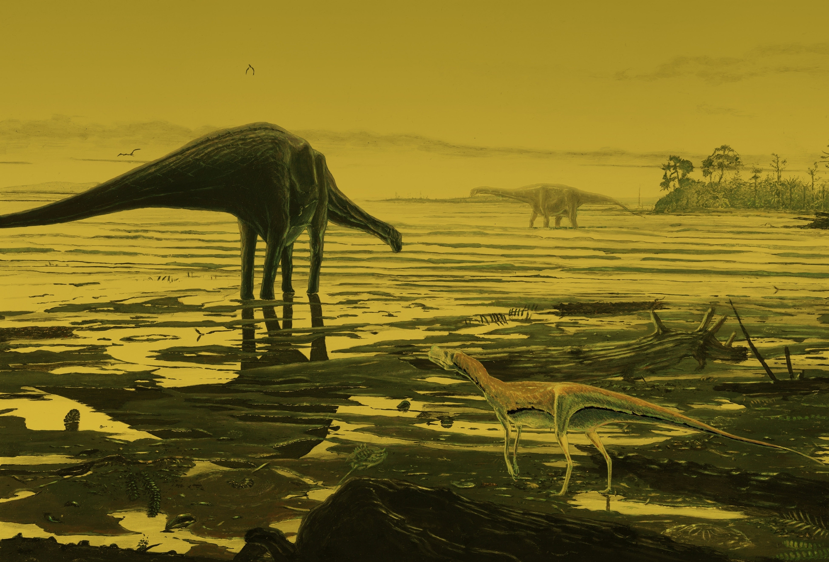 An artist's impression of a sauropod dinosaur(L) on the Isle of Skye. See Centre Press stroy CPDINO; A "remarkable" collection of rare dinosaur tracks is helping scientists shed new light on some of the biggest animals ever to live on land.