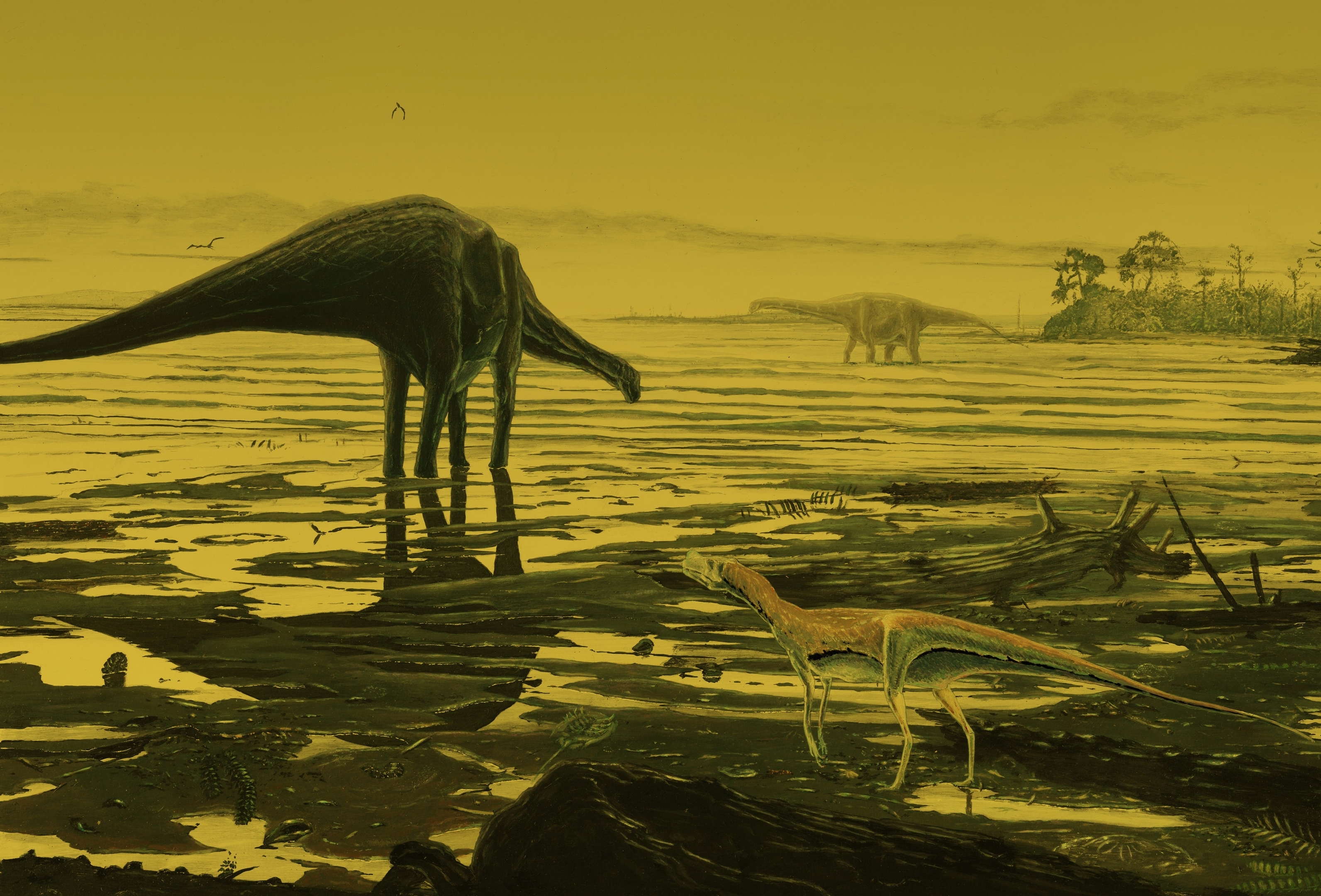 An artist's impression of a sauropod dinosaur(L) on the Isle of Skye. See Centre Press stroy CPDINO; A "remarkable" collection of rare dinosaur tracks is helping scientists shed new light on some of the biggest animals ever to live on land. 