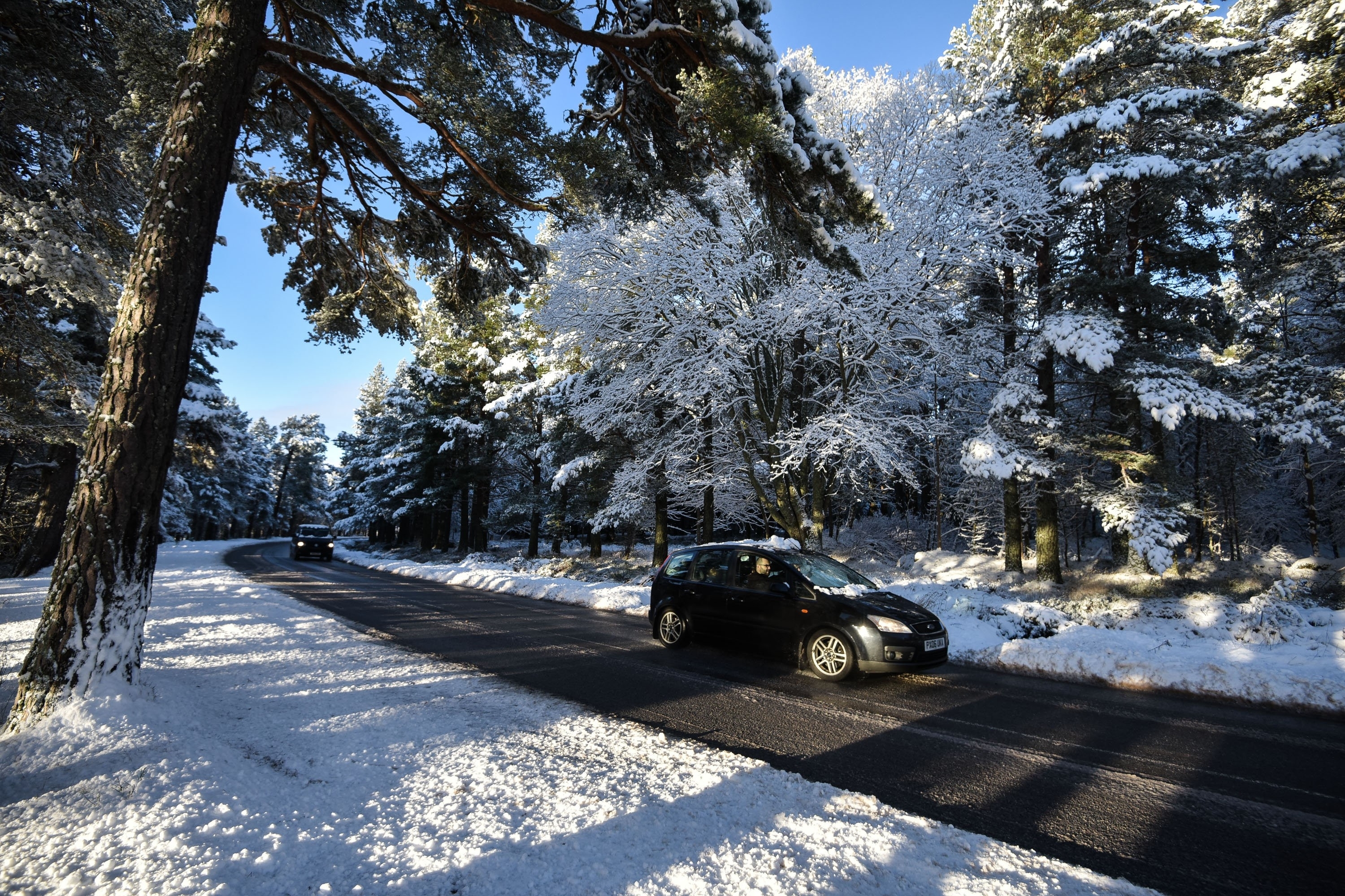 A car is seen driving along a snowy tree lined road near Aviemore, Scotland on December 14 2015. Last night, Sunday, Scotland's coldest temperature for this Winter was recorded in Dalwhinnie at -8.7C. Up to 15cm of snow fell in Aviemore overnight and local schools were closed.