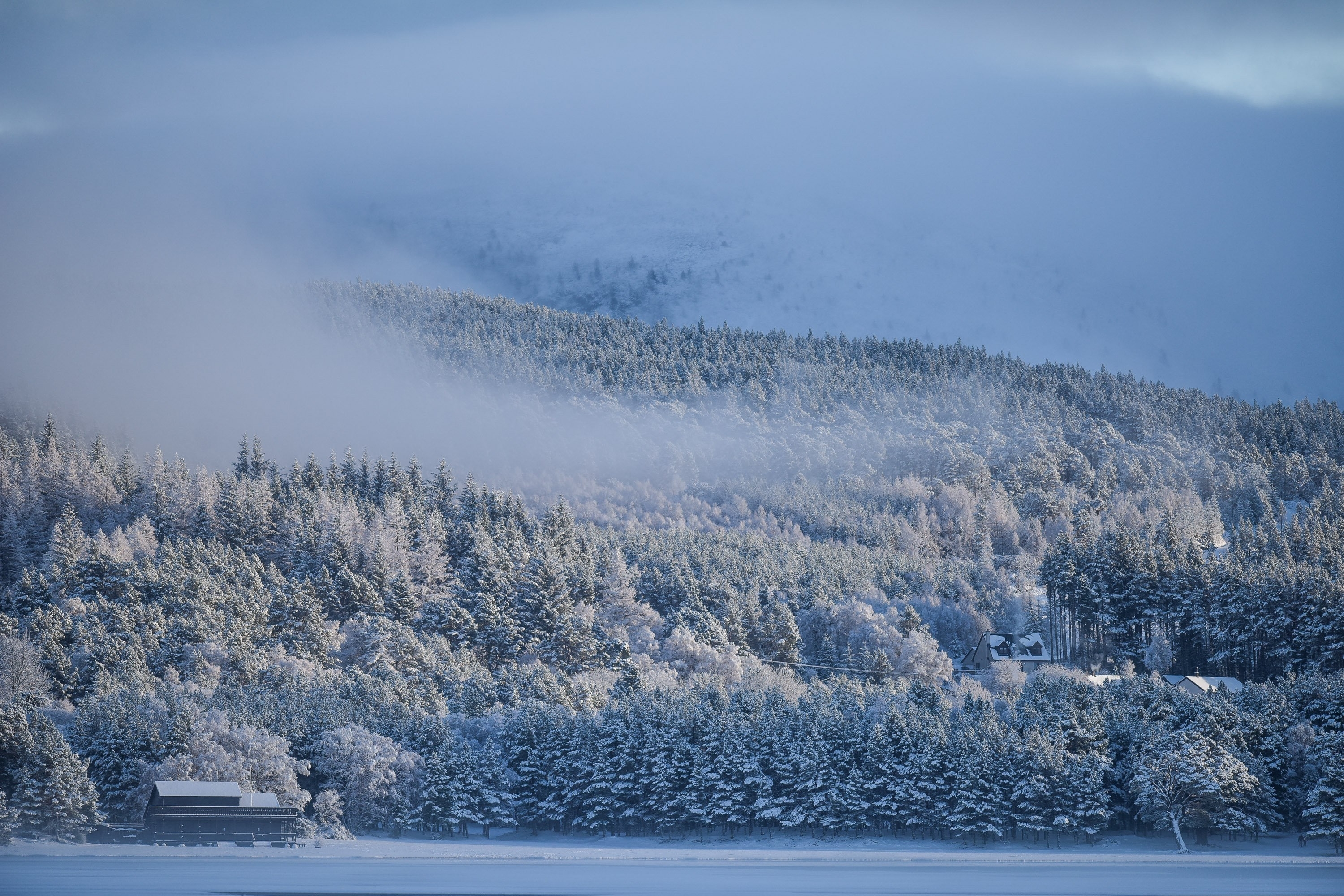 A cabin is surounded by snow dusted trees on the shore of Loch Morlich near Aviemore, Scotland on December 14 2015. Last night, Sunday, Scotland's coldest temperature for this Winter was recorded in Dalwhinnie at -8.7C. Up to 15cm of snow fell in Aviemore overnight and local schools were closed.