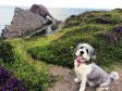 Here is Jenson by the Bow Fiddle Rock in Portknockie.